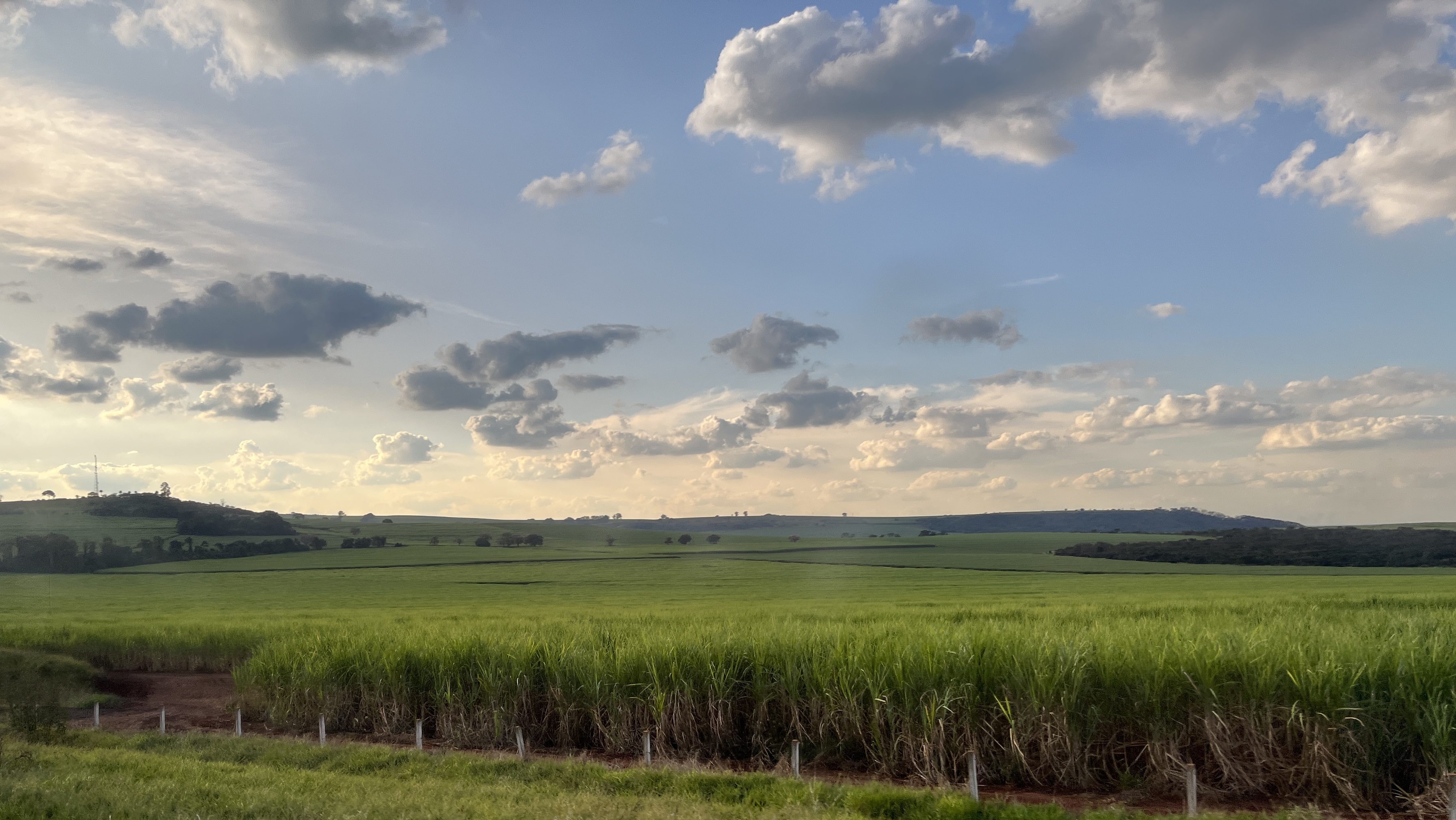 Green sugarcane fields extend to the horizon under a slightly cloudy blue sky. 